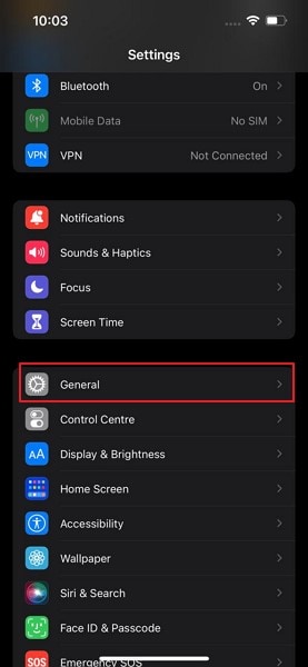 open iphone general settings