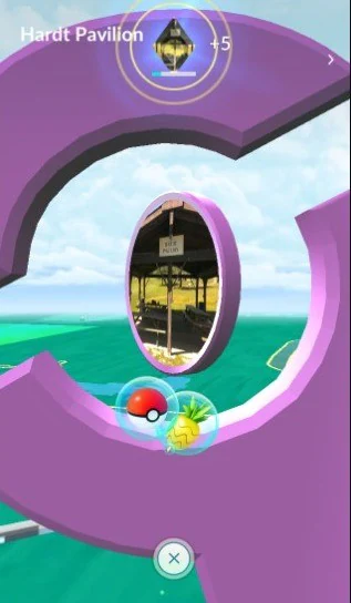 faire tourner les gyms pour obtenir des pokéballs