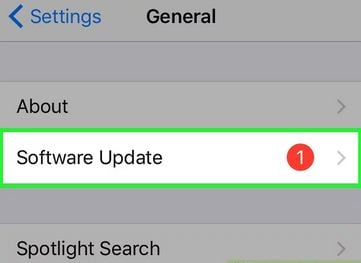 software update option in iPhone settings