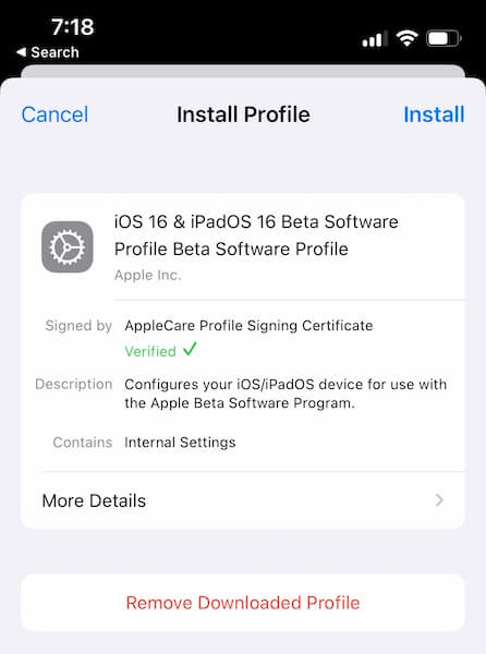 install iOS 16 profile