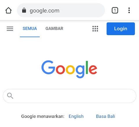 Abre el buscador de Google