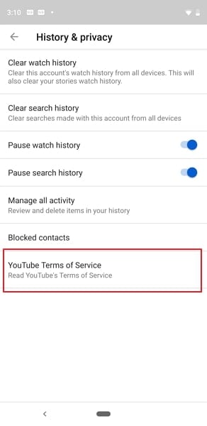 choose youtube terms of service option
