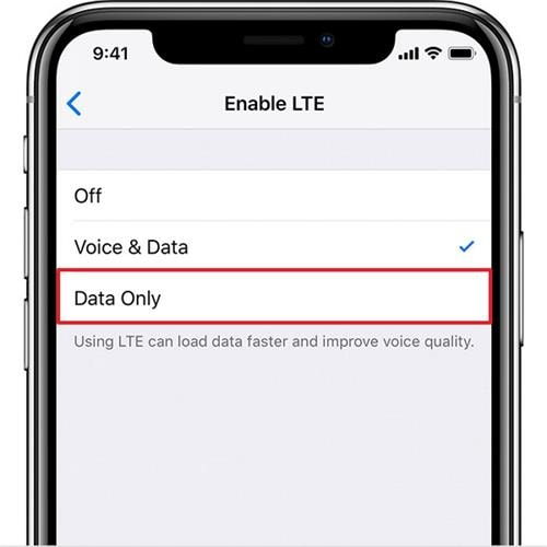 scegli l'opzione solo dati