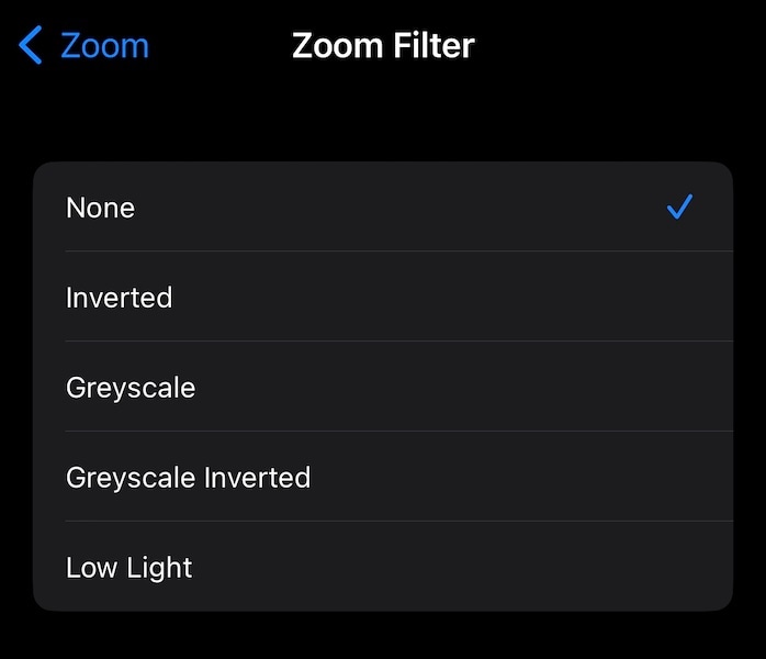 iphone zoom filter accessibility settings
