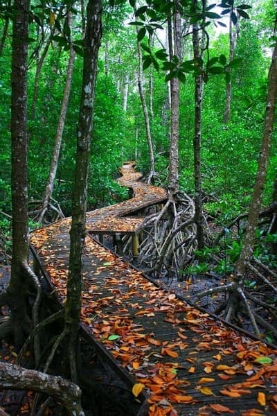 parque marino de la gran barrera de coral