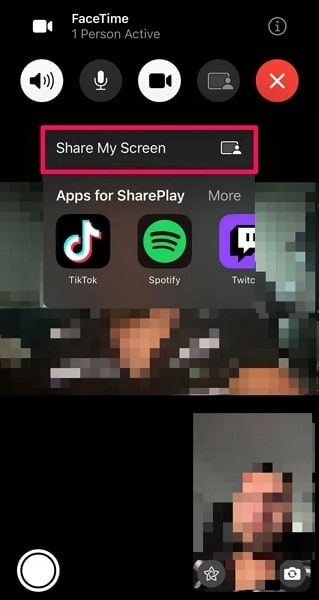 select the share my screen option