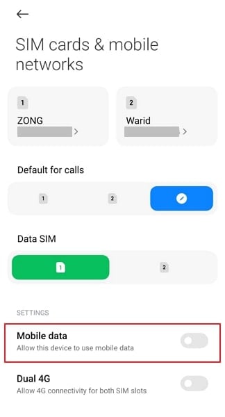 turn on the mobile data option