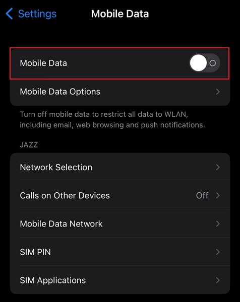 enable the mobile data