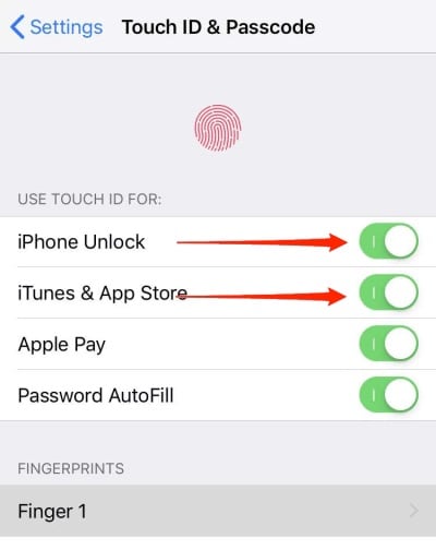 touch id and passcode settings