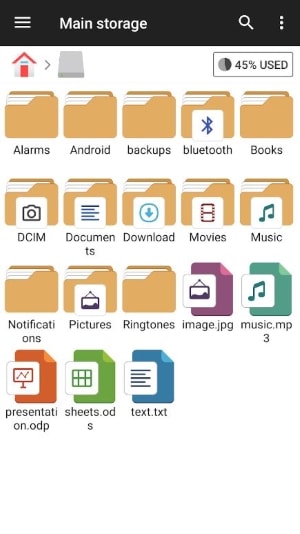 file manager plus main interface