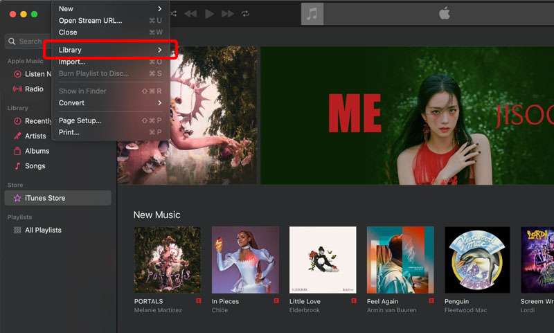 Abre la biblioteca de iTunes y elige una canción 