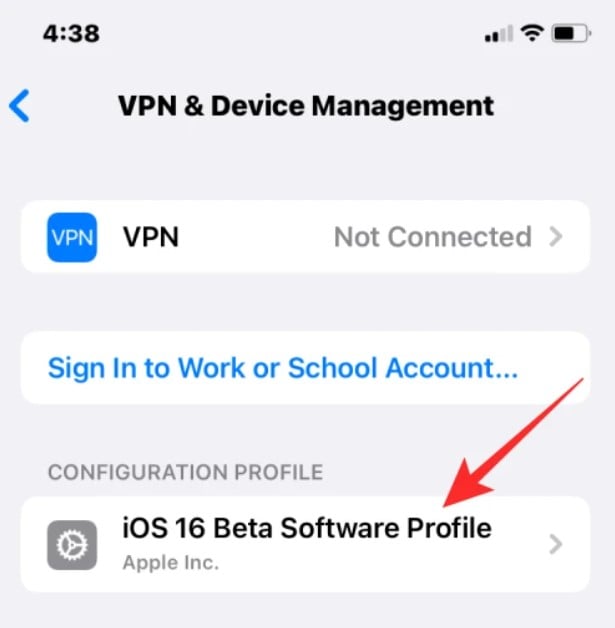 Auswahl des iOS 16 Beta-Profils