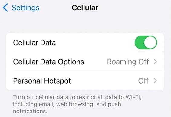 iphone cellular data settings