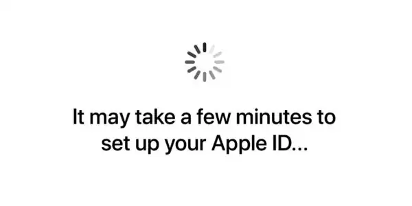 stuck on setting up apple id