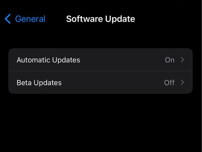 Check for iPhone’s software updates