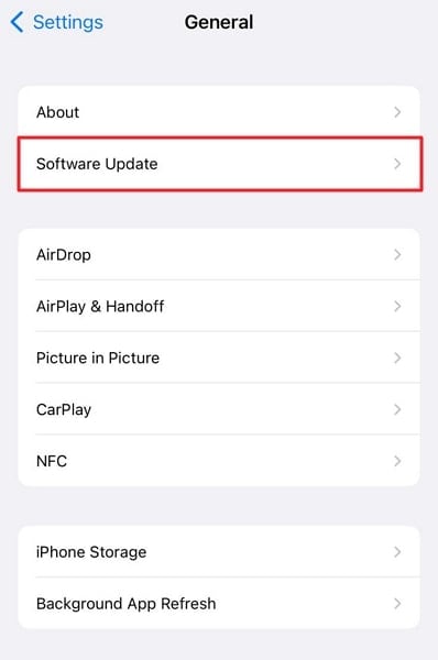 tap on the software update option