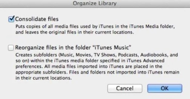 organize library consolidate files