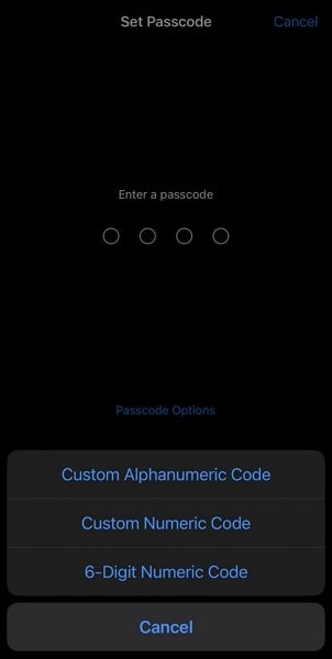 password feature of iphone 14