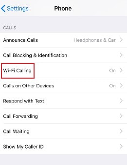 iPhone WLAN-Anrufe