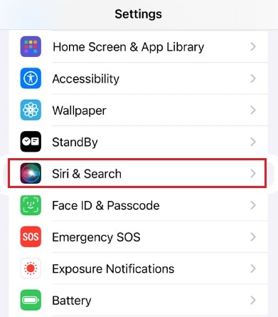 iphone siri and search