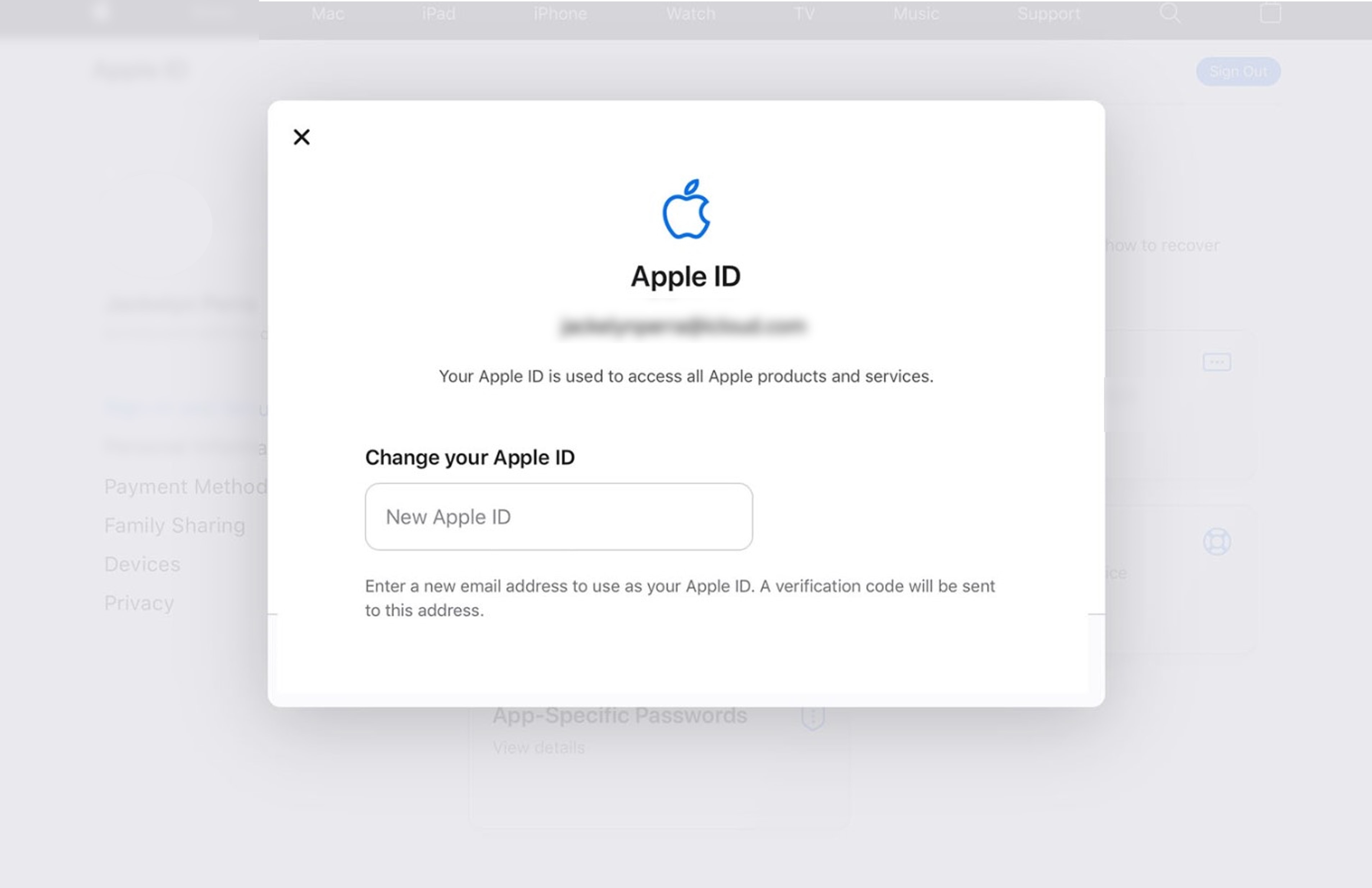 enter a new apple id interface