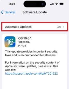 automatic software update