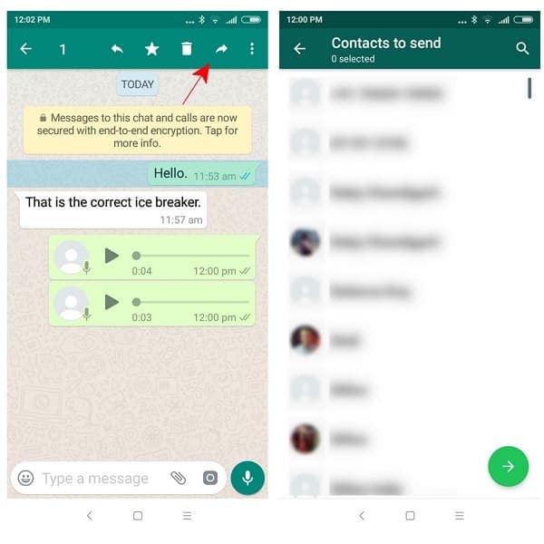 forward the whatsapp disappearing message