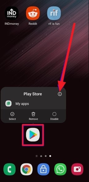 play store app info