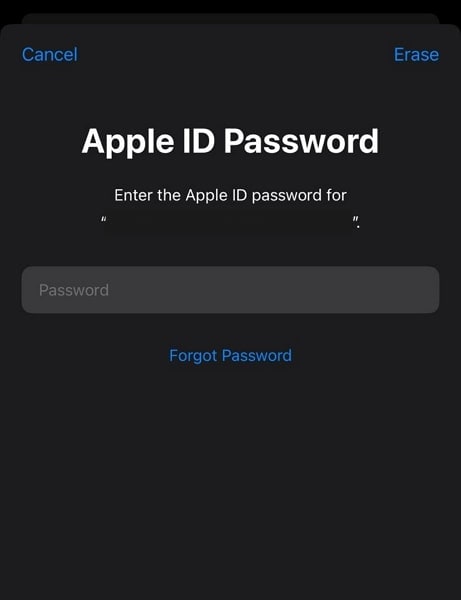 enter your apple id details