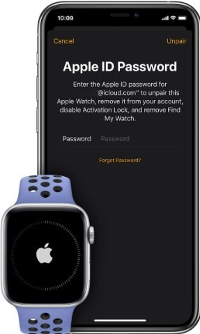 enter apple id password to unpair