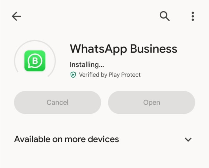 Descarga WhatsApp Business