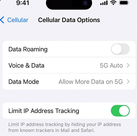 iphone 5g settings window
