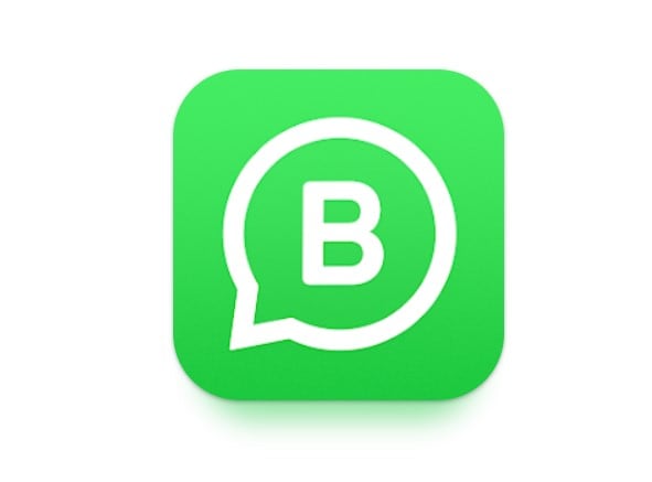 whatsapp business app icon