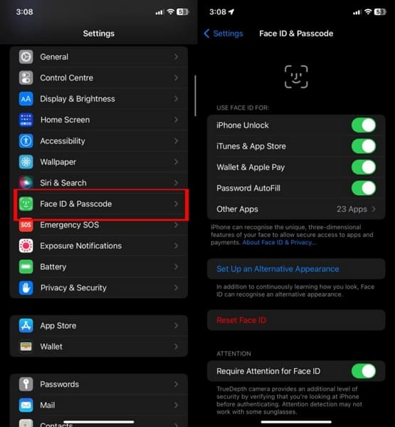 access face id and passcode option
