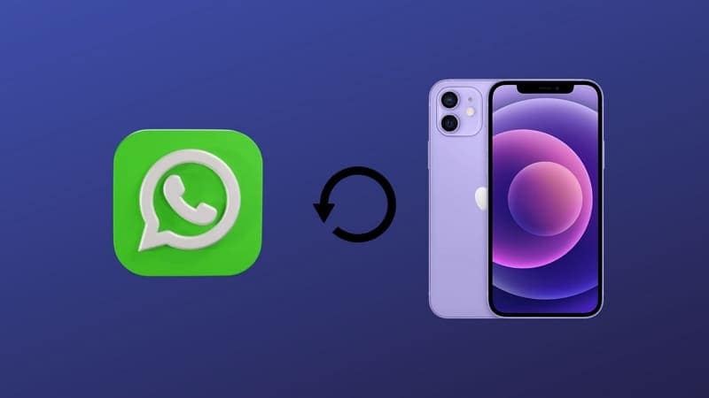 restore whatsapp chat on iphone