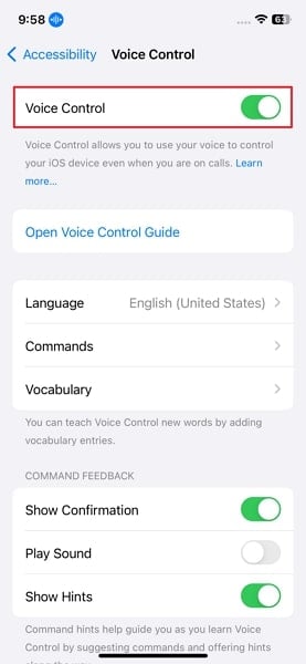 toggle on voice control option
