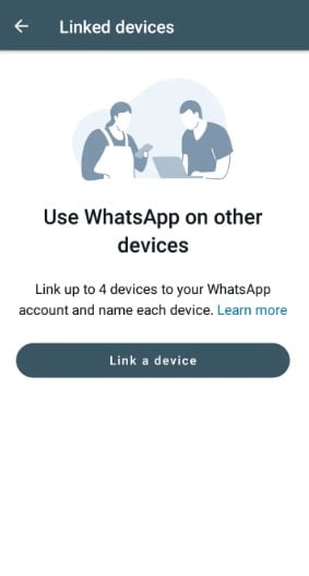 use whatsapp business on other devices