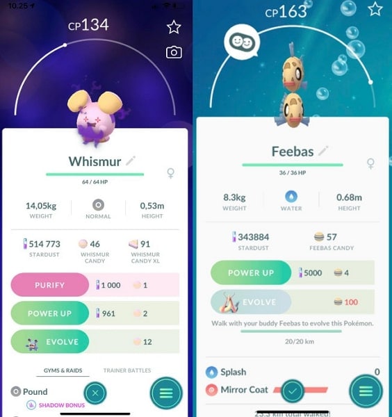 catch whismur and evolve feebas