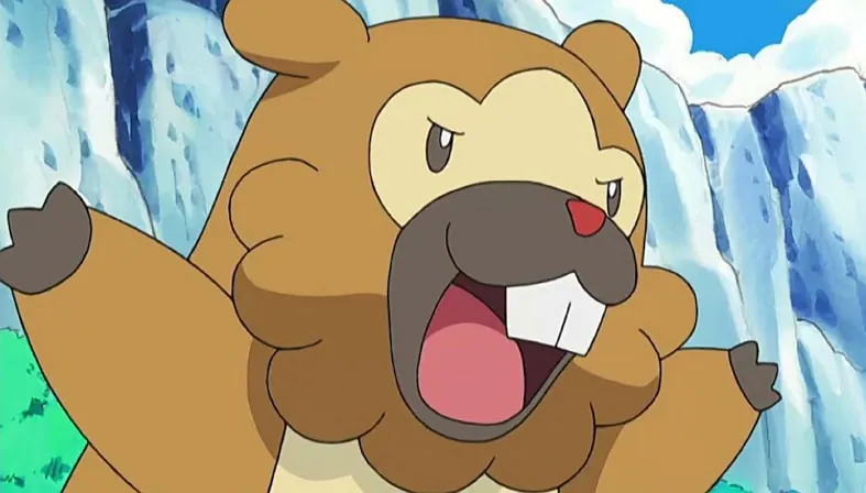 bidoof pokemon ditto