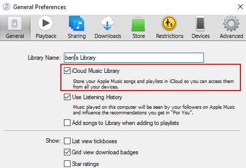 Turn on the iCloud Music Library option.
