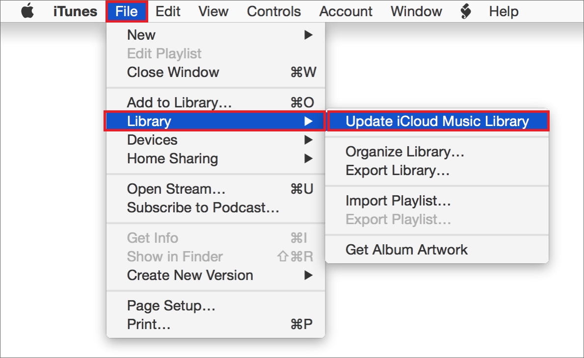 Open the Update iCloud Music Library option.