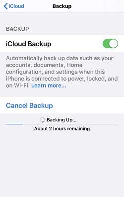 Check iCloud backup settings