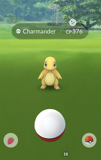 charmander in the wild