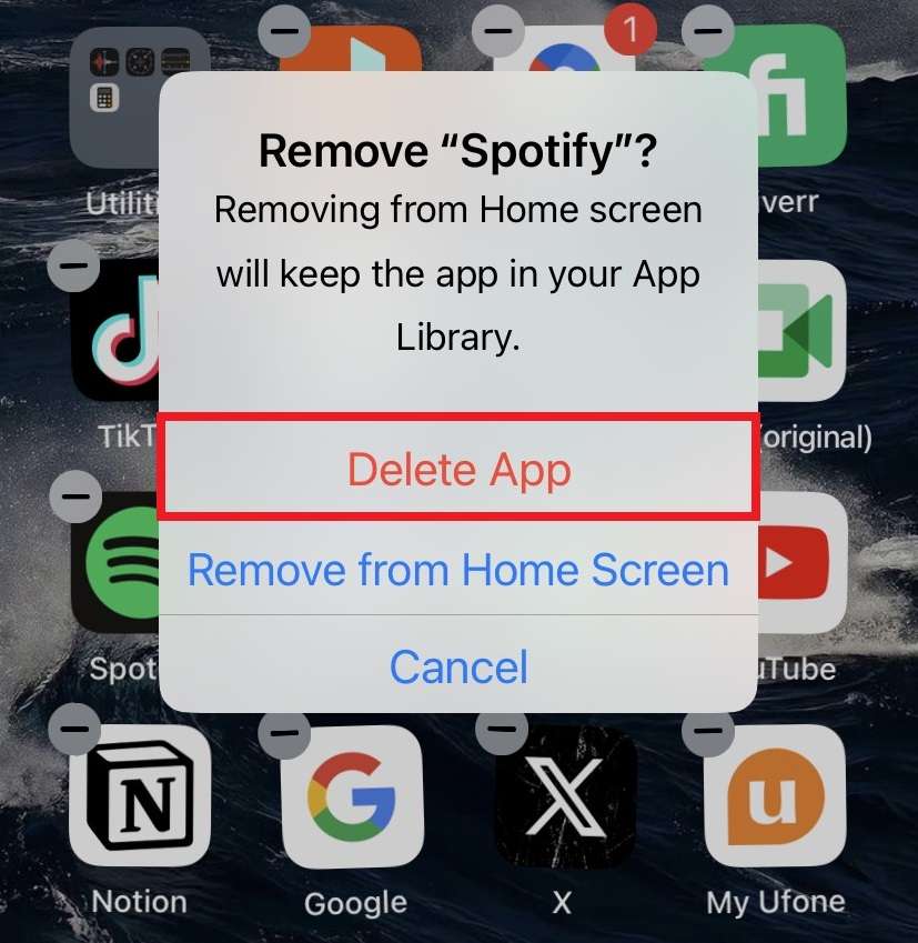 Click the “Delete App” button.