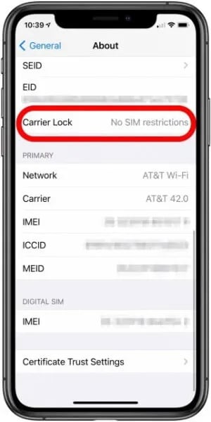 Check if your iPhone is locked via carrier lock.