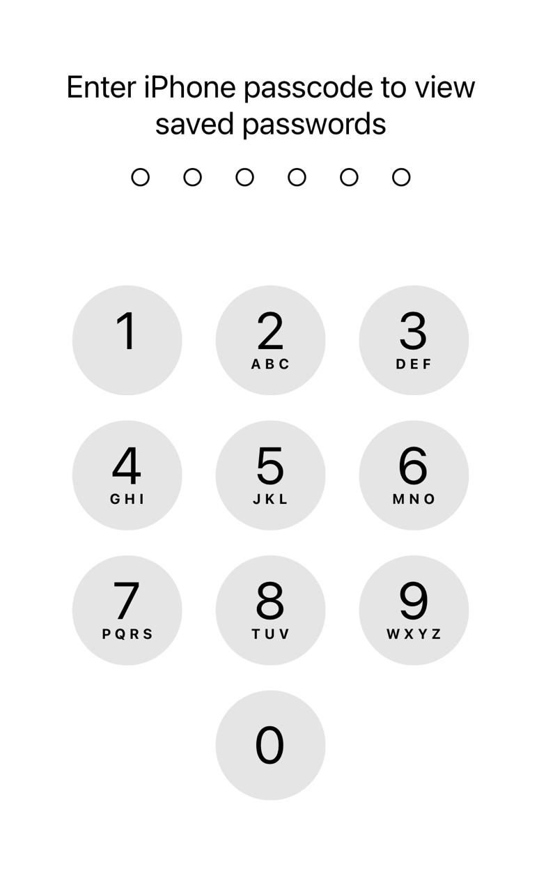 iPhone Passcode Screen