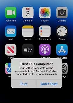 Trust this computer prompt on iPhone.