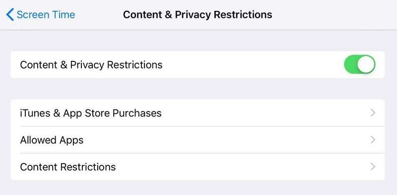 Restrictions mode on iPad.