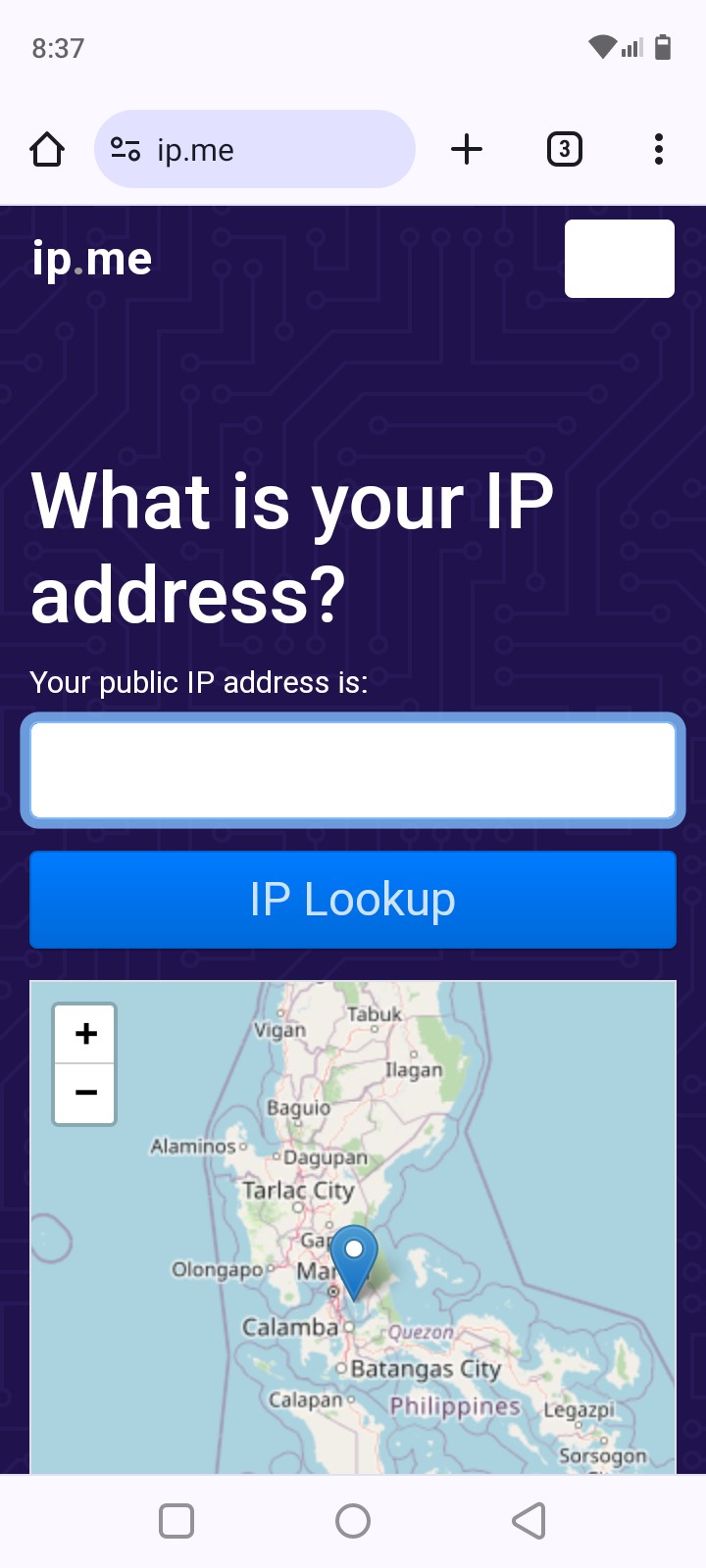 public ip address checker