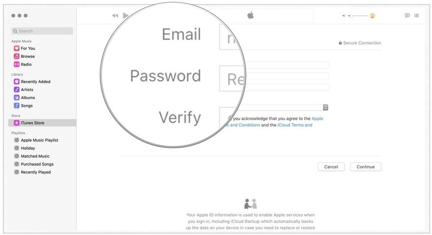 verify your email and password